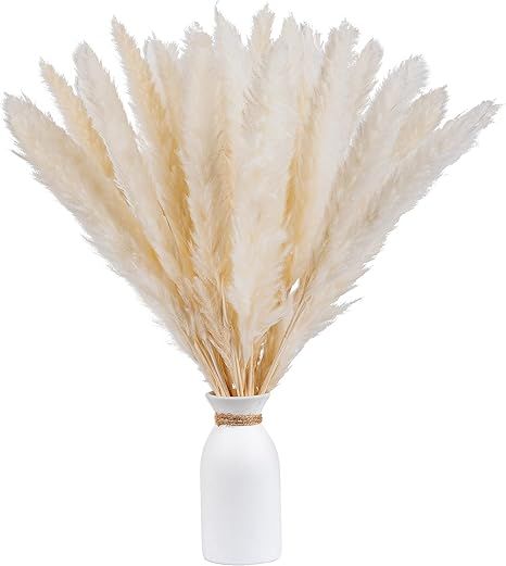 Pampas Grass | JaFully 30 pcs Natural Dried White Pompas Floral for Home Decor | Bundle of 30 Dri... | Amazon (US)