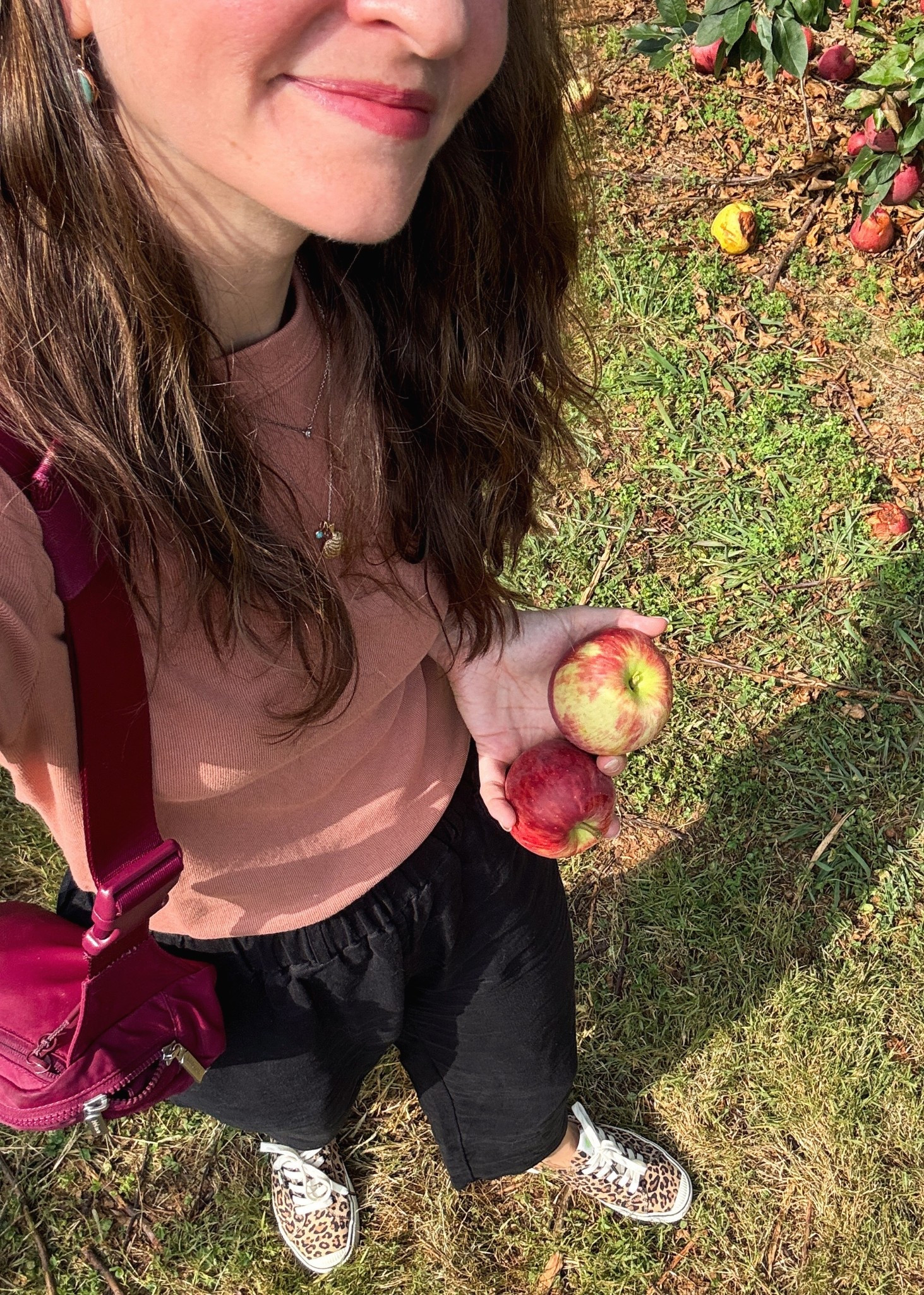 The simplest outfit for apple picking last week. This tee is 100% cotton, incredibly soft, & on sale; these linen pants are under $40; & these leopard print sneakers are sustainable & so comfortable 🍎 

#LTKSaleAlert #LTKFindsUnder50 #LTKSeasonal