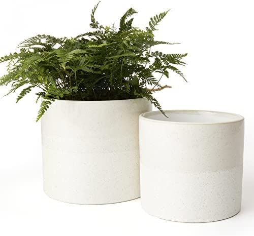 LA JOLIE MUSE Ceramic Round Planter Set for Indoor, Rustic Plant Pots with Textured Speckle Pattern, | Amazon (US)