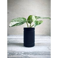 Tall Planter ""Double Slatted Black"" Mid Century Vase | Etsy (US)