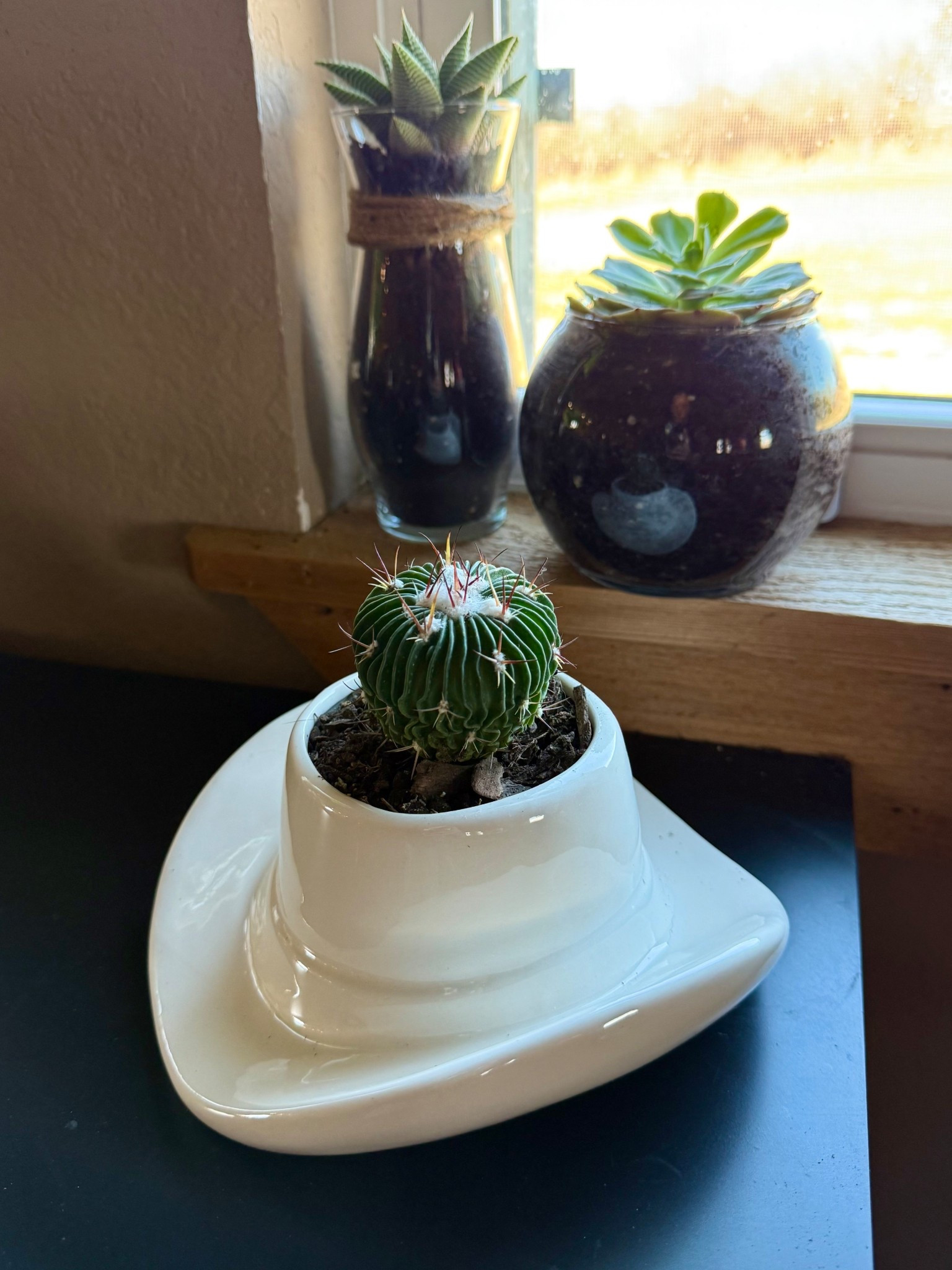 western home decor 🌵

#LTKHome #LTKdayinmylife