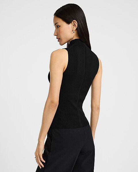 Silky Soft Fitted Ribbed Mock Neck Sweater Tank | Express