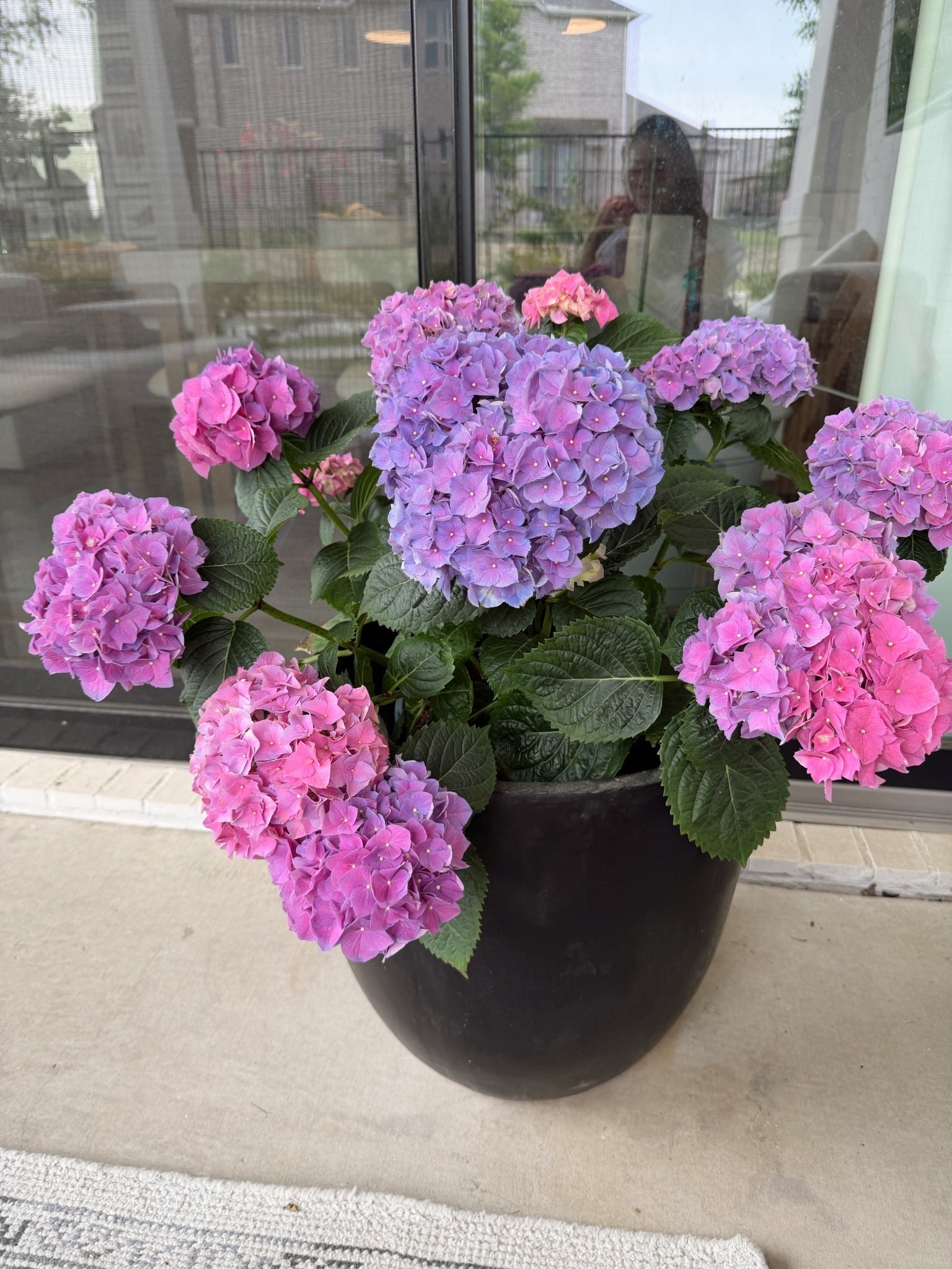 Our favorite outdoor planters with drainage hole! On sale for 10% off. Not too heavy and comes in four colors. We have black in the largest size

#LTKHome
