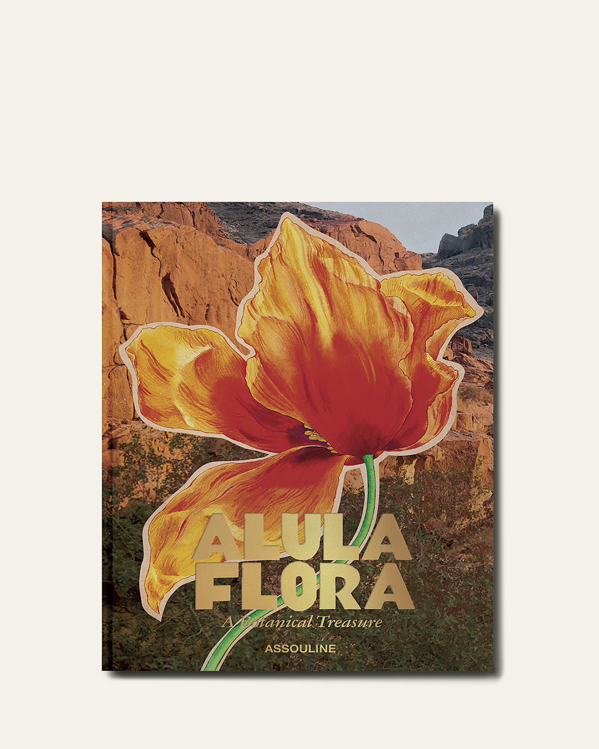 AlUla Flora: A Botanical Treasure" Book by Abdulaziz Assaeed | Bergdorf Goodman