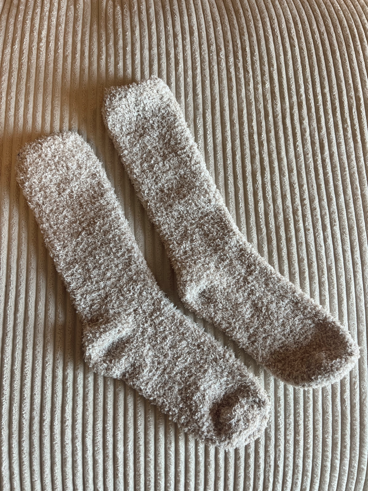 the best socks going into fall 🐻🧦