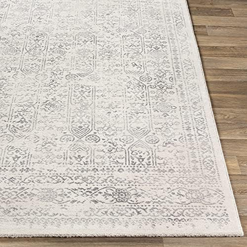 Artistic Weavers Klaudia Trellis Modern Area Rug, 5'3" x 7'1", Light Grey | Amazon (US)