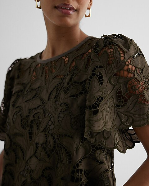 Embroidered Crochet Puff Sleeve Top | Express