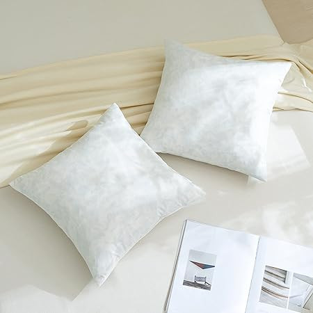 Dorrin Nessin 20x20 Feather Throw Pillows Insert (Pack of 2, White), Bed and Couch Decorative Stu... | Amazon (US)