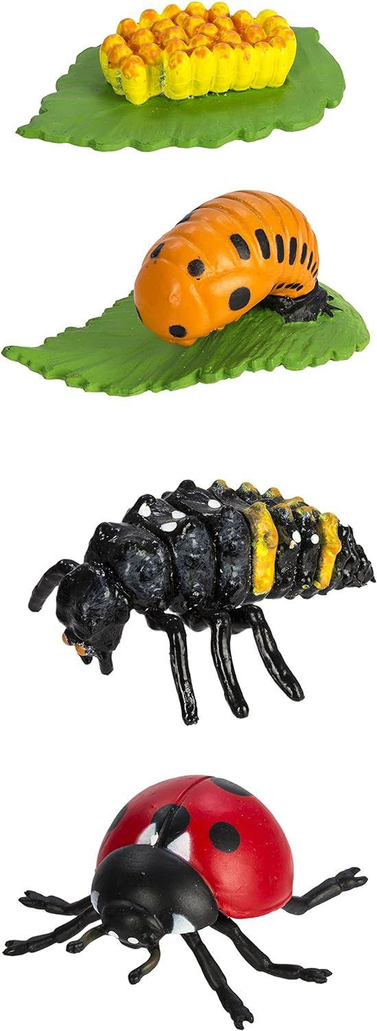 Safari Ltd Safariology Collection - Life Cycle of a Ladybug - Includes Egg, Larva, Pupa, and Lady... | Amazon (US)