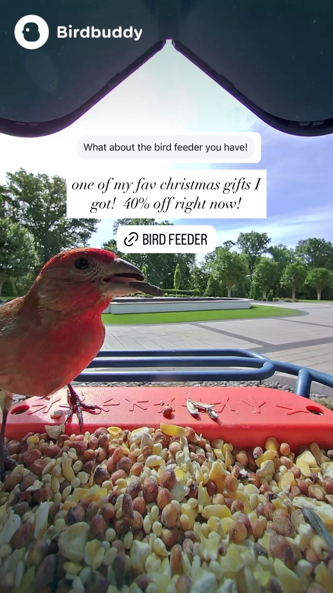 Love this bird feeder that is part of amazon prime day deals! 

#LTKU #LTKPets #LTKFamily