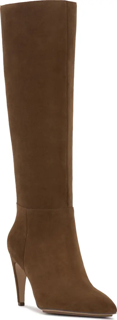 Brigitte Pointed Toe Knee High Boot (Women) | Nordstrom Rack