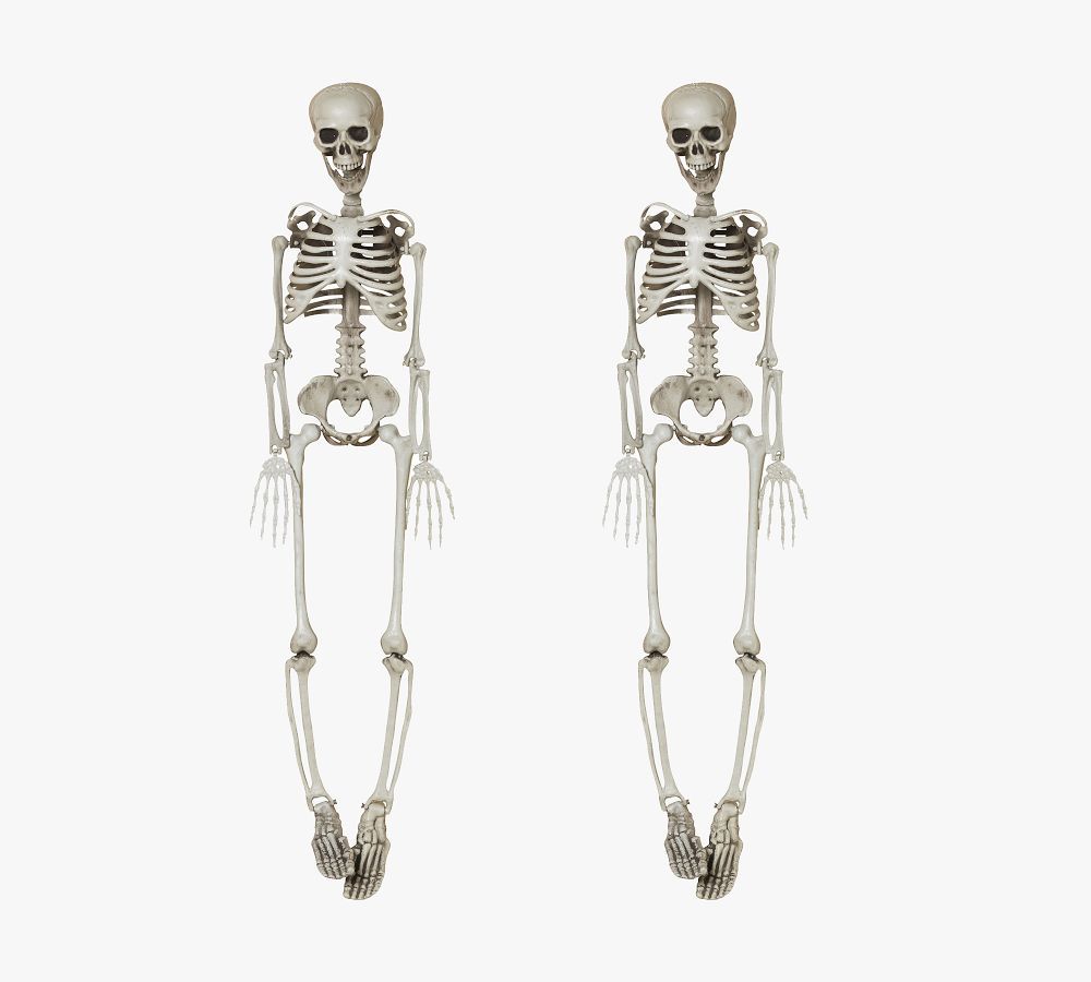 Hanging Plastic Skeletons - Set Of 2 | Pottery Barn (US)