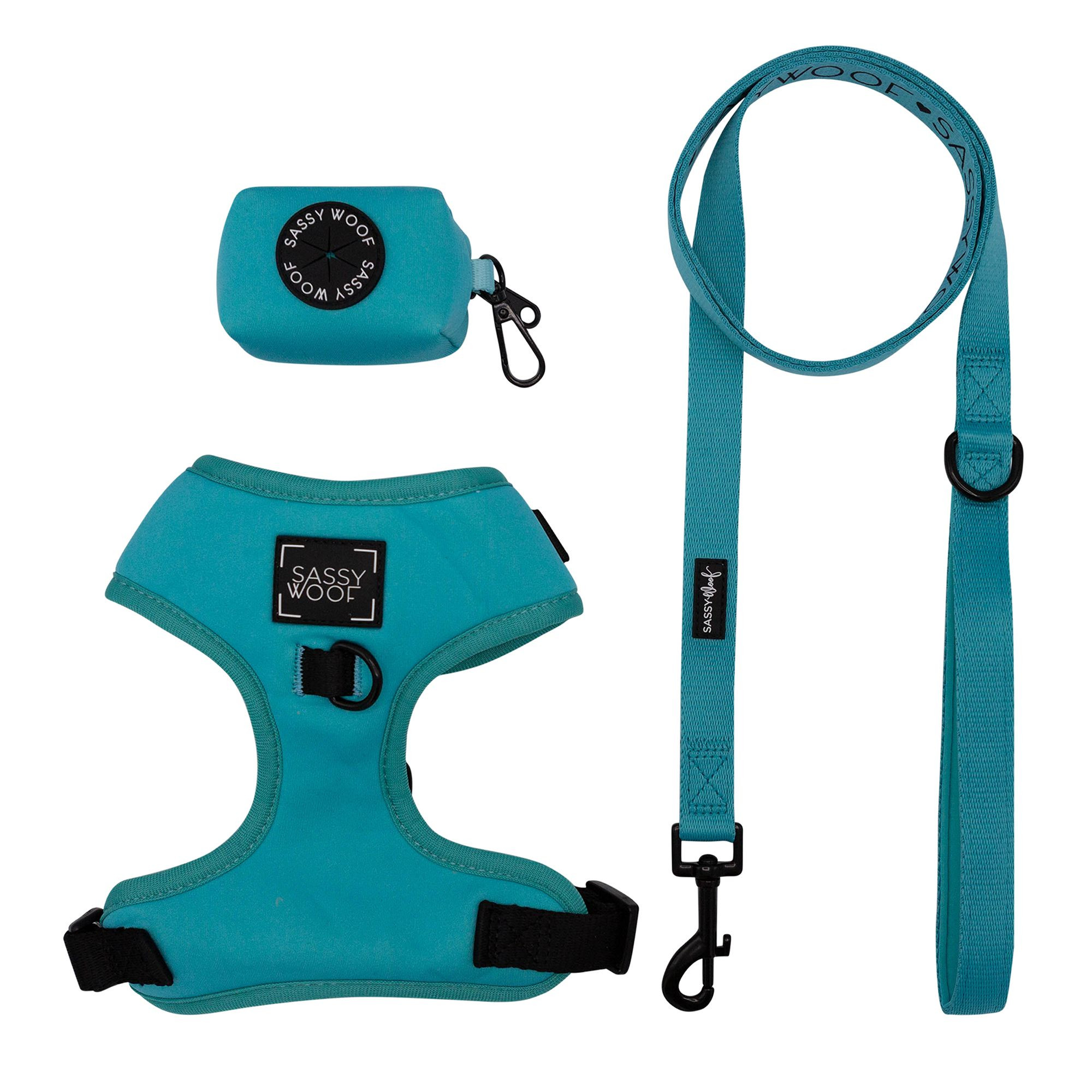 Sassy Woof Neon Dog Harness, Leash and Waste Bag Holder Bundle | PetSmart