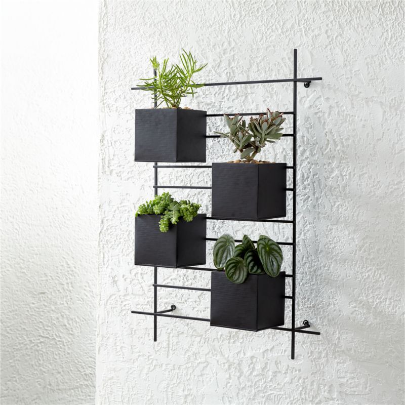 4 Box Wall Mounted Planter + Reviews | Crate and Barrel | Crate & Barrel