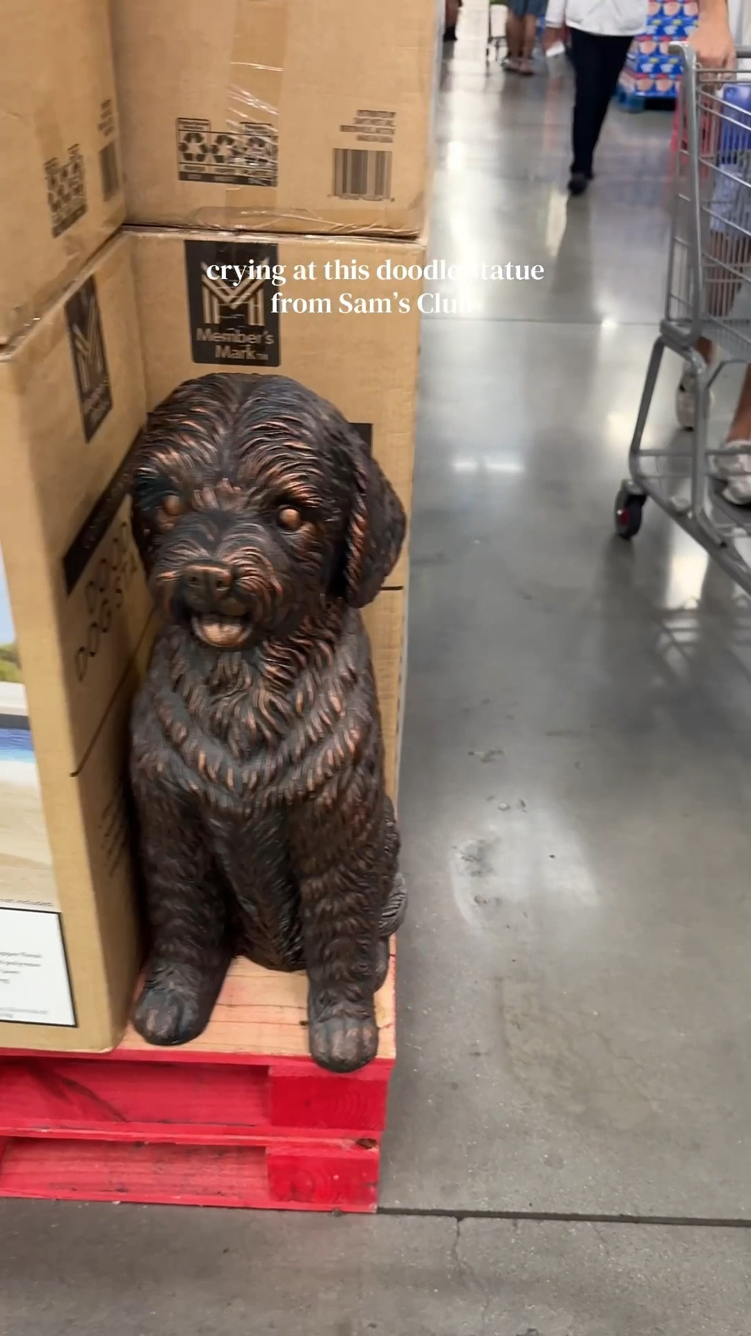 Obsessing over this doodle dog statue from Sam’s Club! 

#LTKHome #LTKFindsUnder100