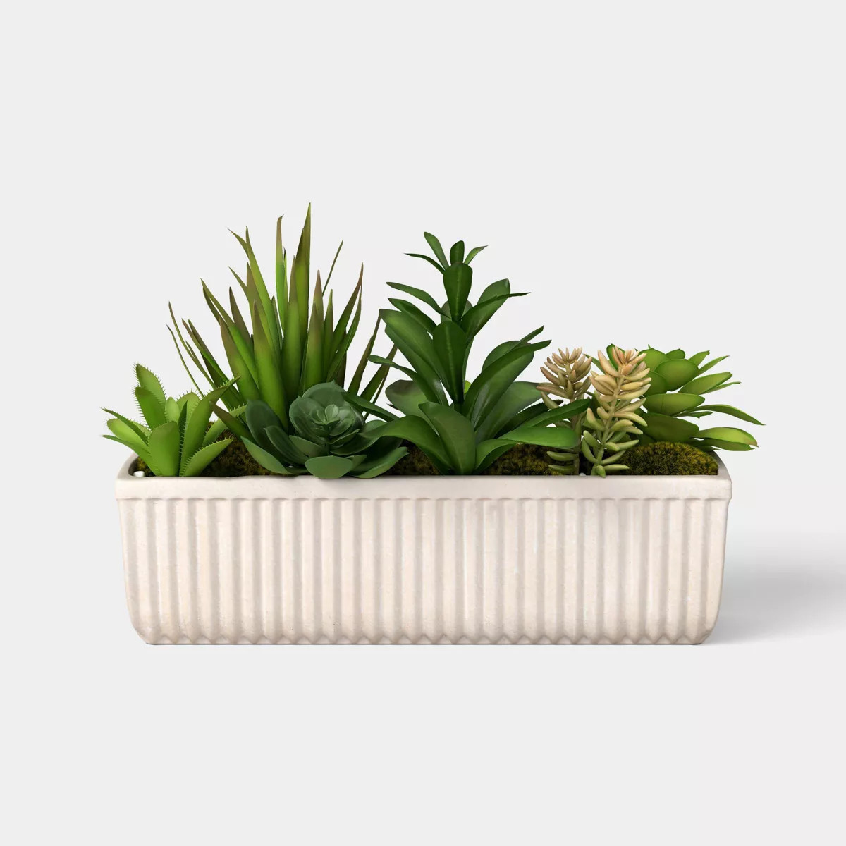 8" Succulent Capsule - Threshold™ | Target