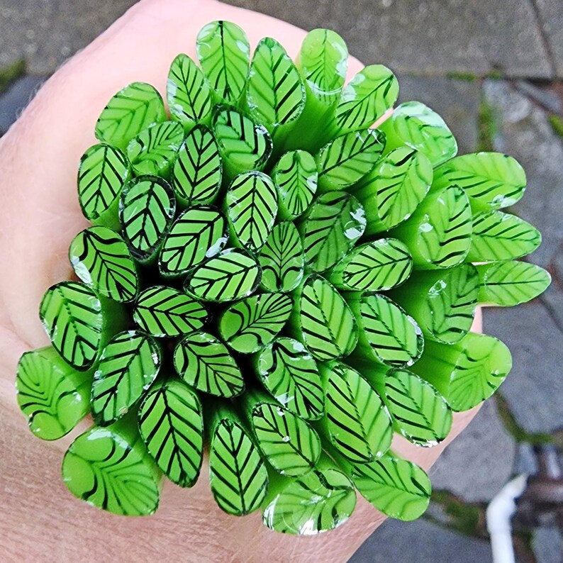 Coe 96 Med Leaf: Cool Grass 1 Oz Murrini Murrine Millefiori Vitrigraph Cane MINZABELLA MURRINI by... | Etsy (US)