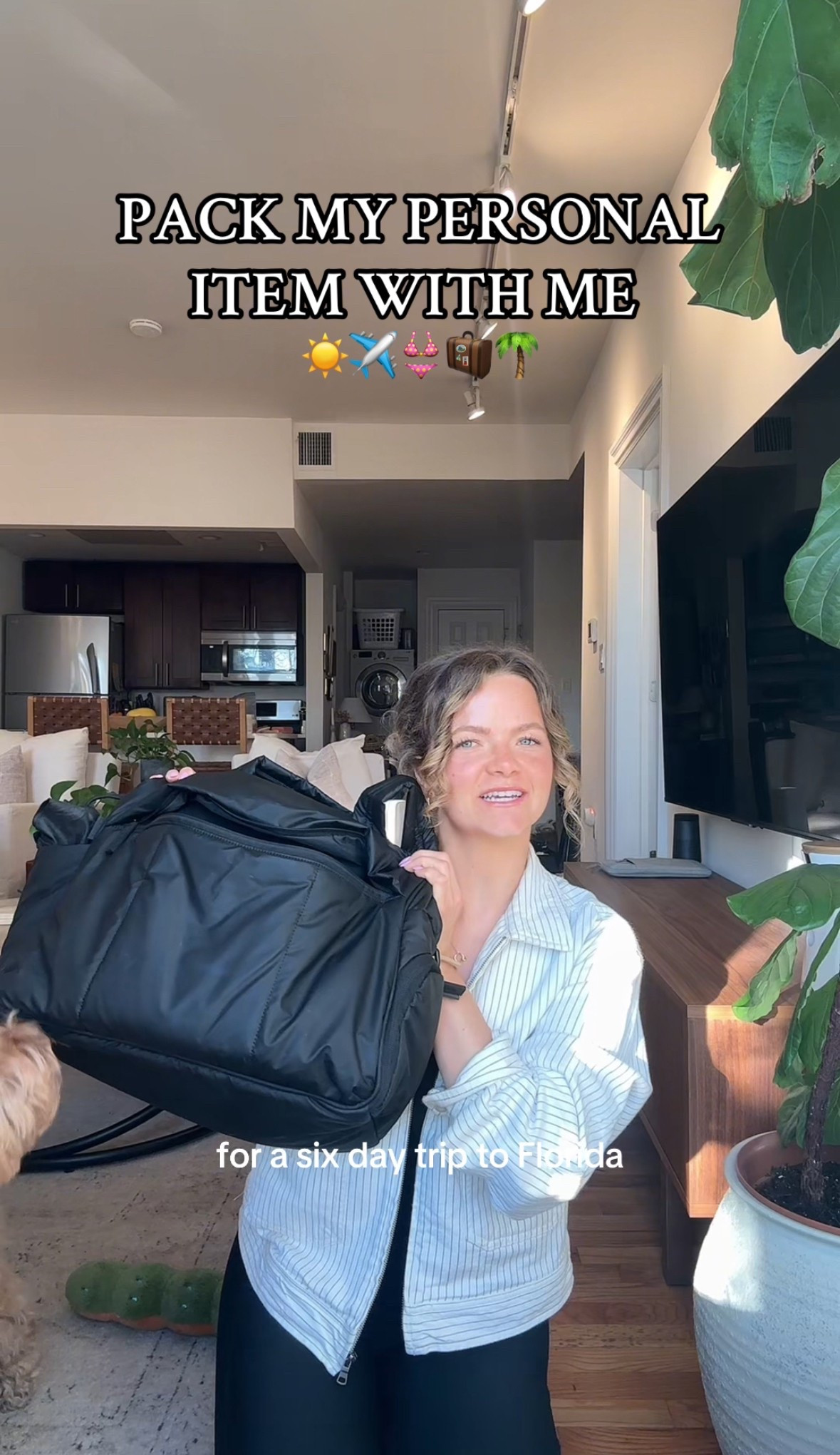 Linking my favorite Calpak bag and Noshinku Hand Sanitizer here. All other travel essentials are linked on my Amazon Storefront. #travel 

#LTKGiftGuide #LTKTravel #LTKSaleAlert