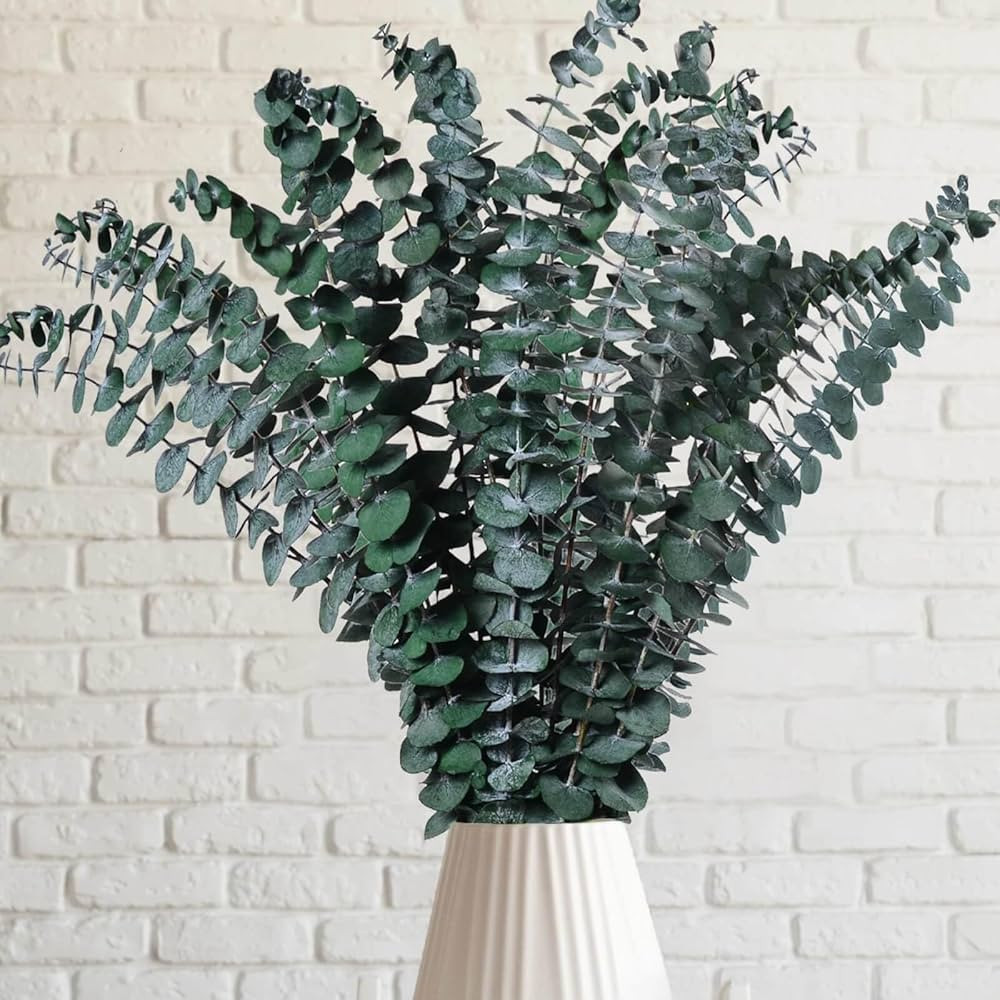 12 Pcs Preserved Dried Eucalyptus Stems, 17" Natural Branches for Shower Hanging, Real Dried Flow... | Amazon (US)