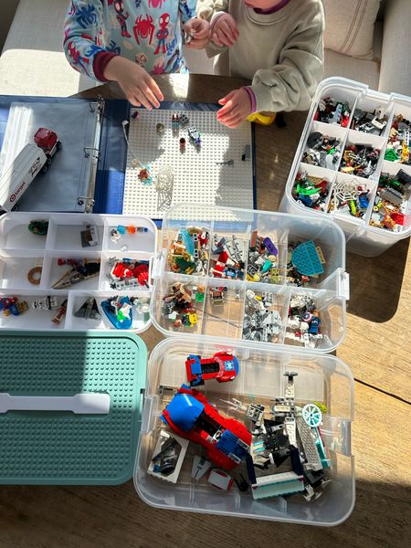 The best Lego organizing box! Fits so many legos and my toddler can open and close it  

#LTKkids #LTKfindsunder50 #LTKfamily