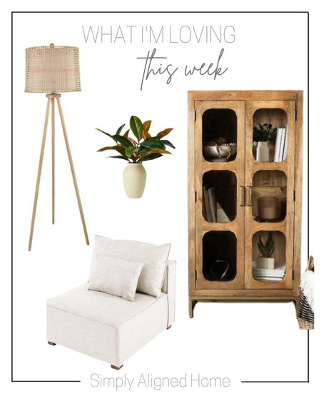-small magnolia leaf potted threshold-natural tripod wood and wicker floor lamp-buff armless accent chair-natural wood cabinet 

#LTKfamily #LTKstyletip #LTKhome