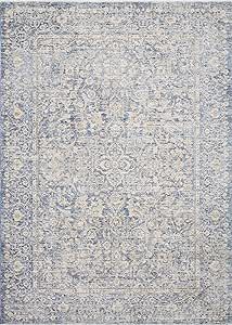 Loloi Pandora Collection Distressed Persian Vintage Area Rug, 9'6" x 12'5", Blue/Gold | Amazon (US)