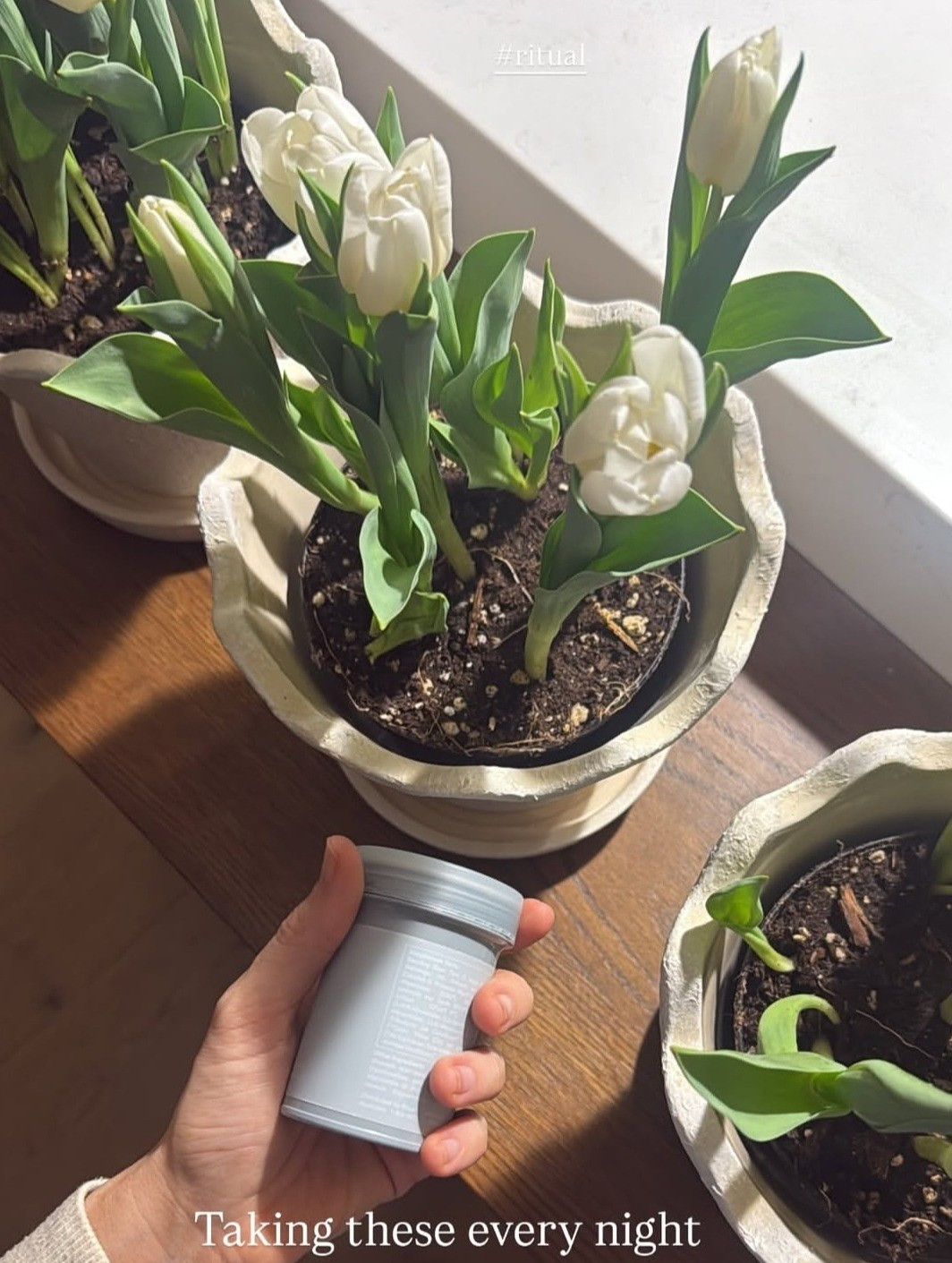 I take these Ritual supplements every night to help with my gut health!  

 #LTKdayinmylife #LTKselfcare