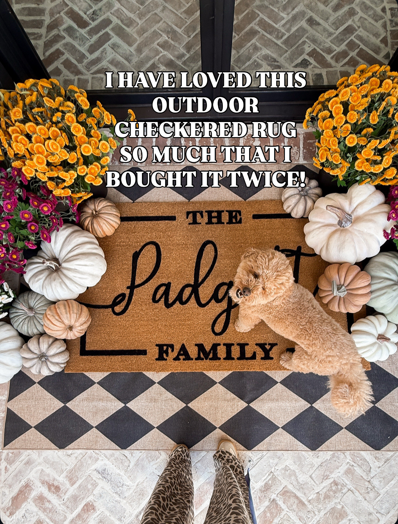 You can use discount code Karon30 to save 30% off sitewide on your personalized doormats. I have a 36 x 60 on top of a 5 x 7 outdoor rug.

Front porch  / fall / fall porch / holiday / pumpkin / Halloween / mum / faux florals / outdoor rugs / rug / rugs

#LTKHome #LTKSeasonal #LTKHoliday