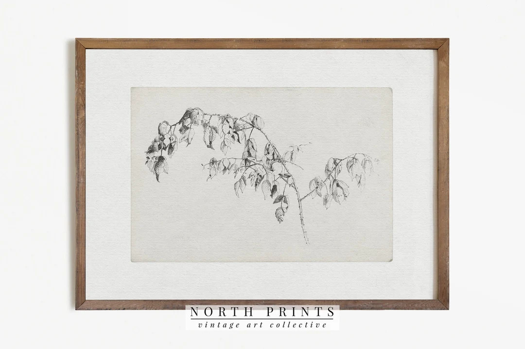 Vintage Sketch Art | Antique Branch Drawing | Nature Print Digital PRINTABLE #455 | Etsy (US)