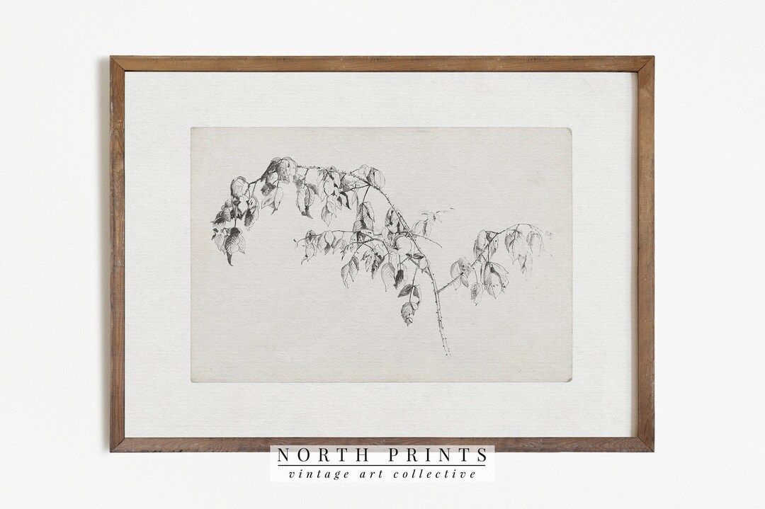 Vintage Sketch Art | Antique Branch Drawing | Nature Print Digital PRINTABLE #455 | Etsy (US)