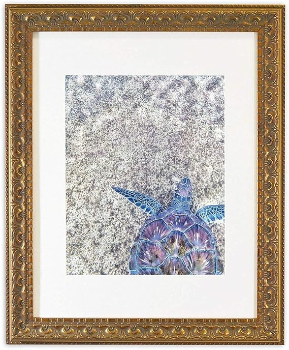 Golden State Art, Photo Frame with White Mat for Picture & Real Glass for Wall Display - Home or ... | Amazon (US)