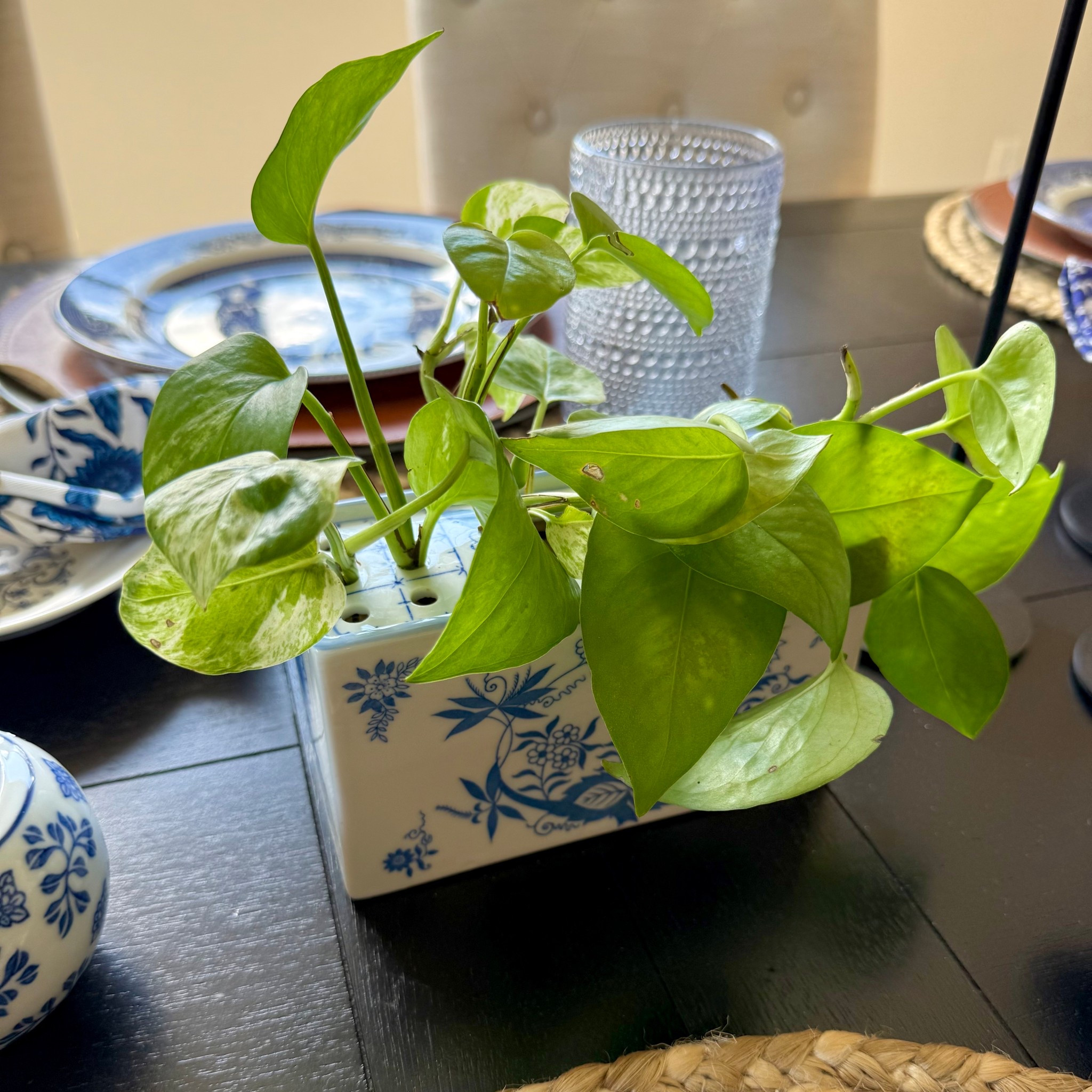 One of my favorite little rituals lately has been arranging fresh flowers using my flower frog! I thrifted this one but here are some similar options if you want to do the same 🌱✨

#LTKHome #LTKU #LTKselfcare