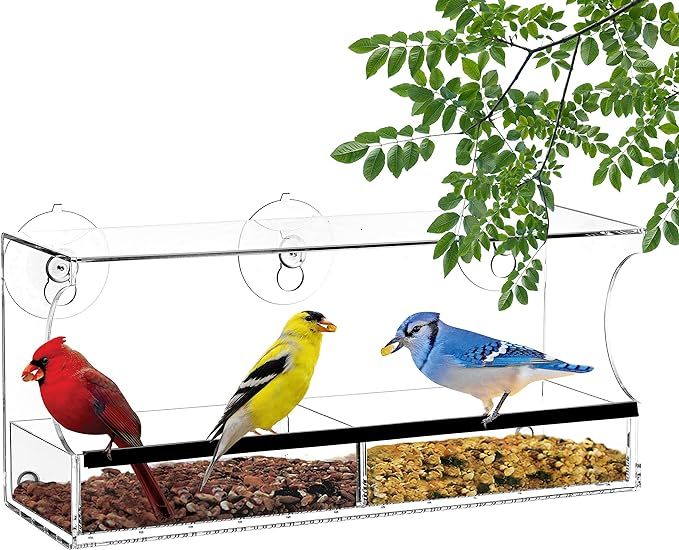 Clear Window Bird Feeder for Outside - Window Bird Feeders with Strong Suction Cups, Transparent ... | Amazon (US)