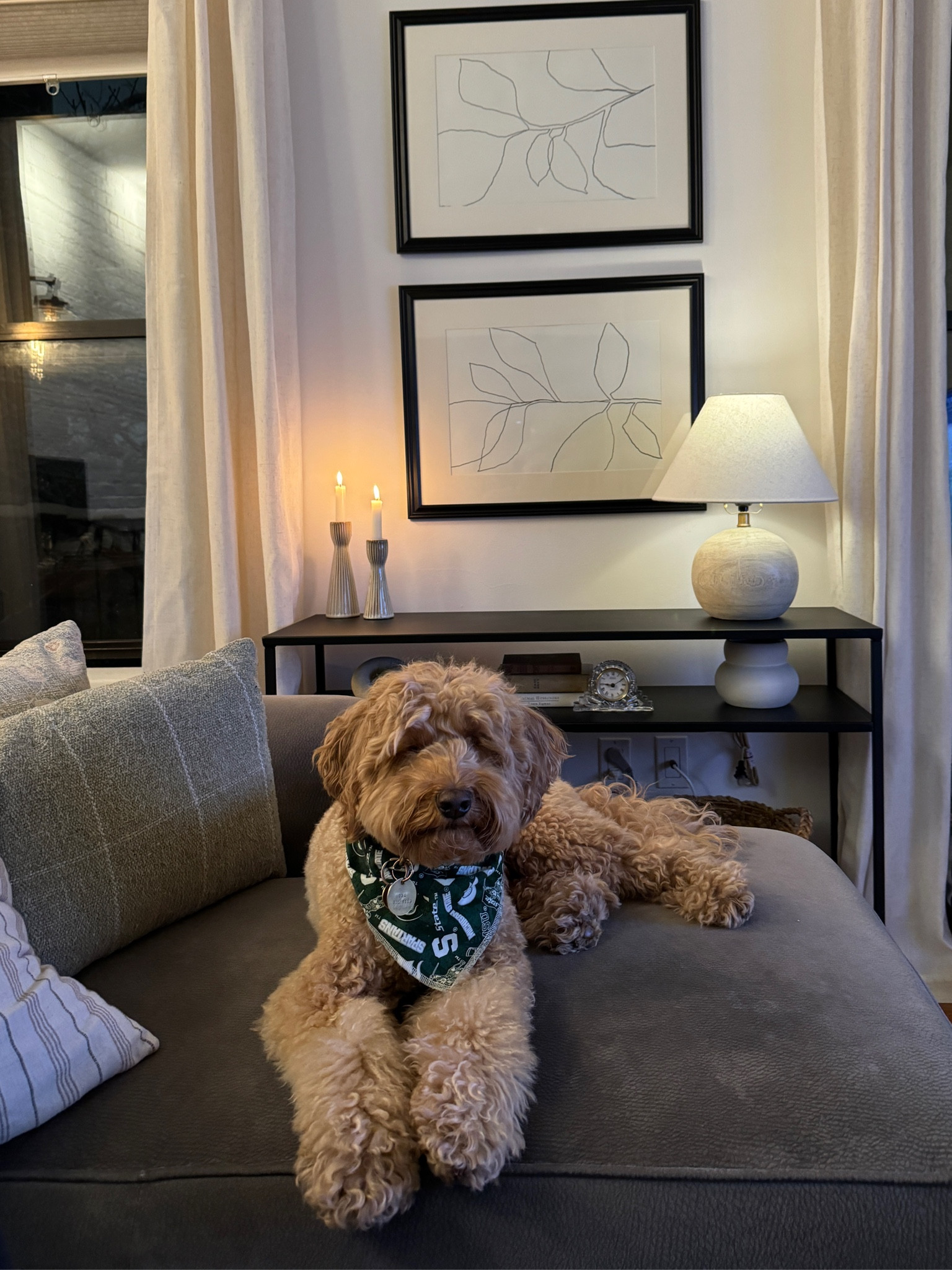We’ve been working hard putting finishing touches on our apartment since moving. Linking a few of our decor items — some of them are thrifted or no longer sold so I won’t be able to link but I’ve linked similar options #home #decor 

#LTKHome #LTKGiftGuide