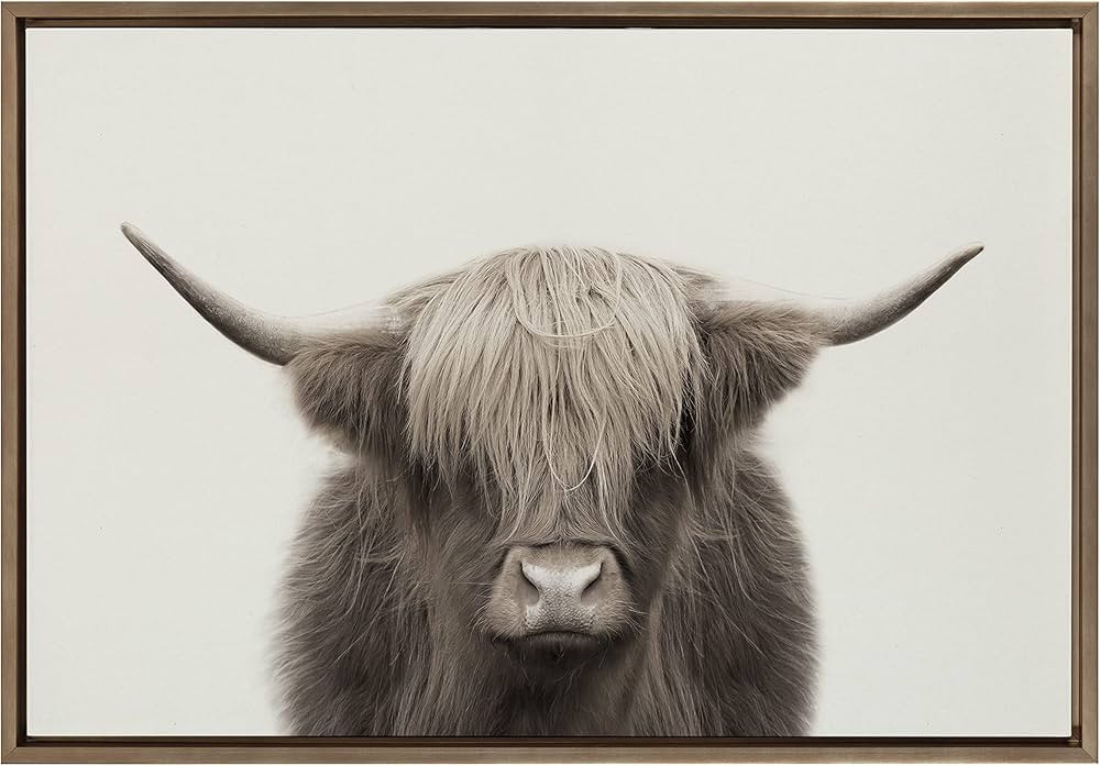 Kate and Laurel Sylvie Hey Dude Highland Cow Color Framed Linen Textured Canvas Wall Art by The C... | Amazon (US)
