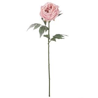 Light Pink Snowy Peony Stem by Ashland® | Michaels Stores