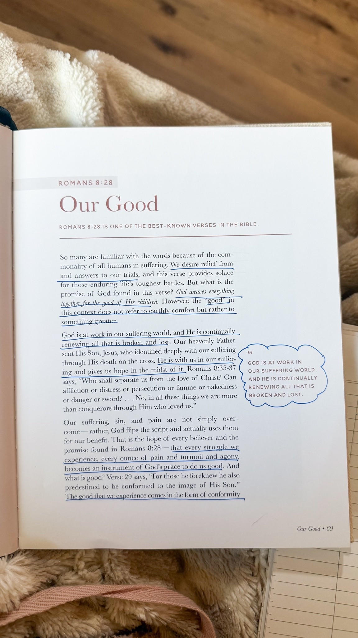 The promises of God

#LTKdayinmylife #LTKmomlife #LTKstorytime