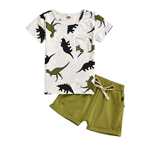 Clothes For 3 Year Old Boys Baby Boys Summer Outfits Dinosaur T-Shirt & Shorts Set 2 Piece，Green Dino 3-4T/100cm | Amazon (US)