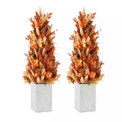 36-Inch Pre-Lit Fall Porch Trees with Iron Containers (Set of 2) | Bed Bath & Beyond | Bed Bath & Beyond