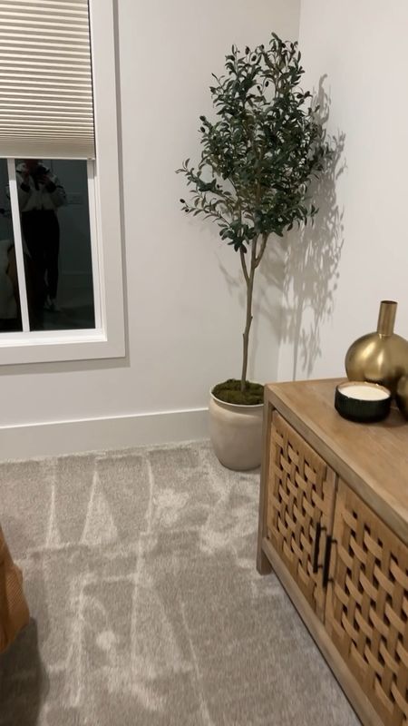 Fake olive tree from @qvc on sale today from $180 to $80! 
6 ft tree 
$10 off $25 with code code WELCOME24 (new customers) 
Home find 

#LTKfindsunder100 #LTKsalealert #LTKhome