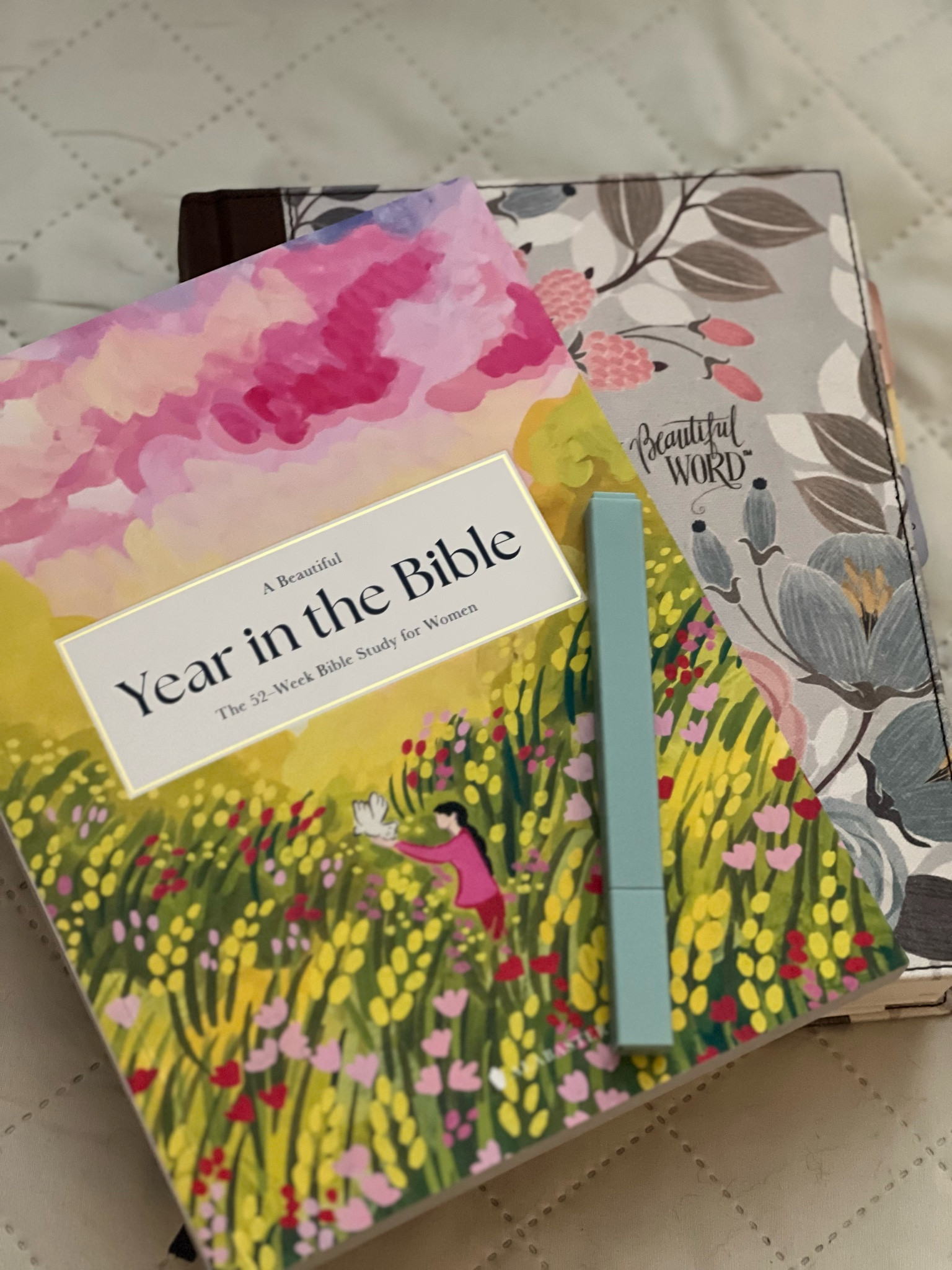 My goal for the year. Really enjoying the Year in the Bible so far  

#LTKSeasonal #LTKFindsUnder50 #LTKGiftGuide