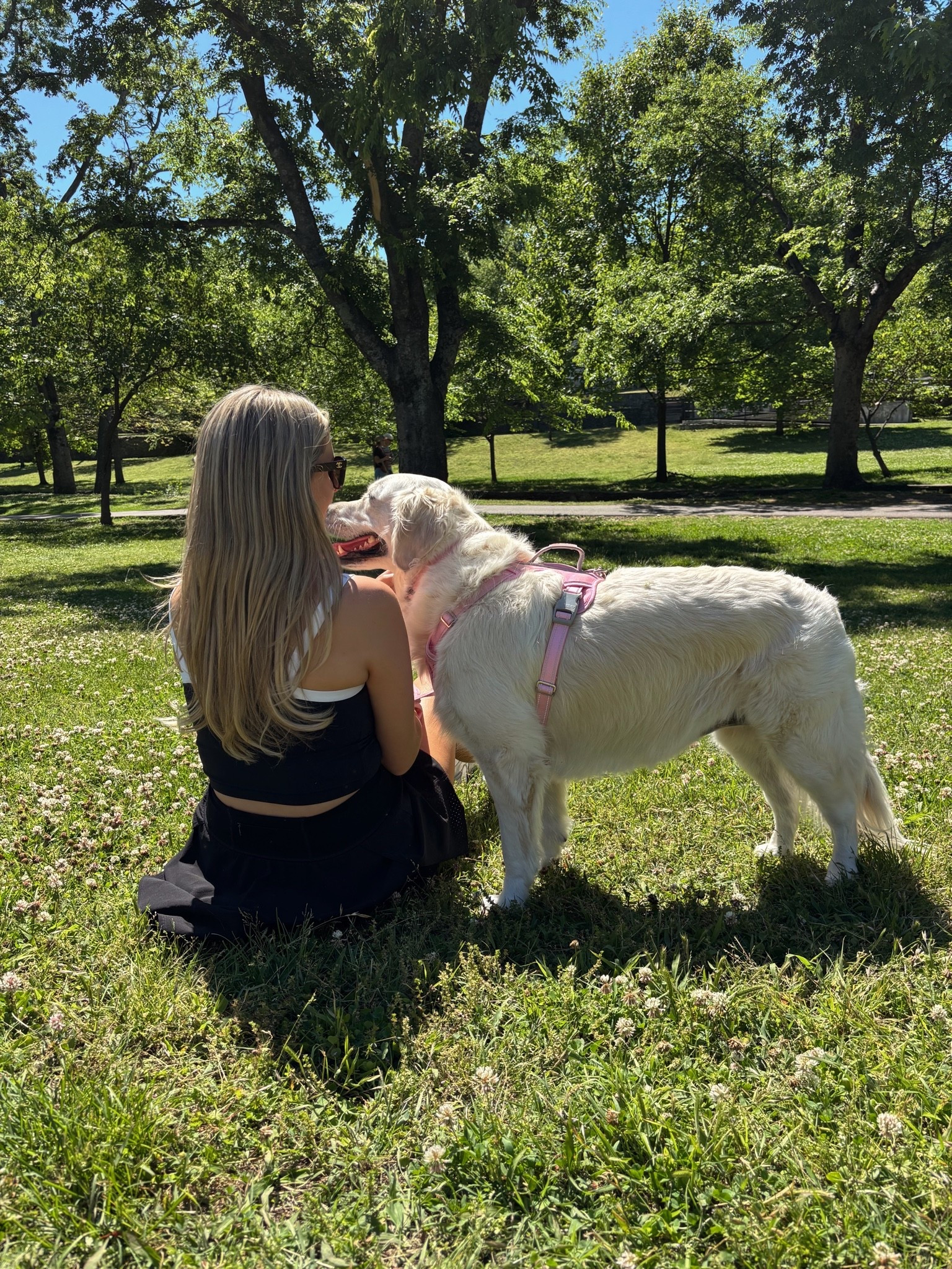 This is our favorite dog harness! Ellie wears an XL and is 78 pounds! 🩷