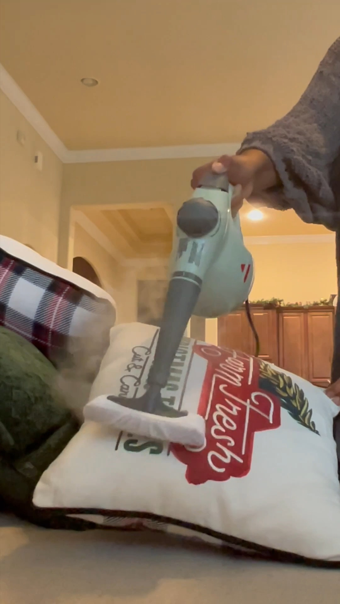 Come with me to steam 💨My couch 🛋️! It’s Holiday Season and what better way to holiday prep, than with a nice clean couch and pillows ! 

#LTKFindsUnder50 #LTKHoliday #LTKHome