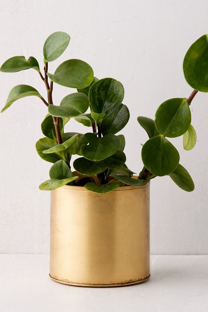 Bryant Planter | Urban Outfitters (US and RoW)