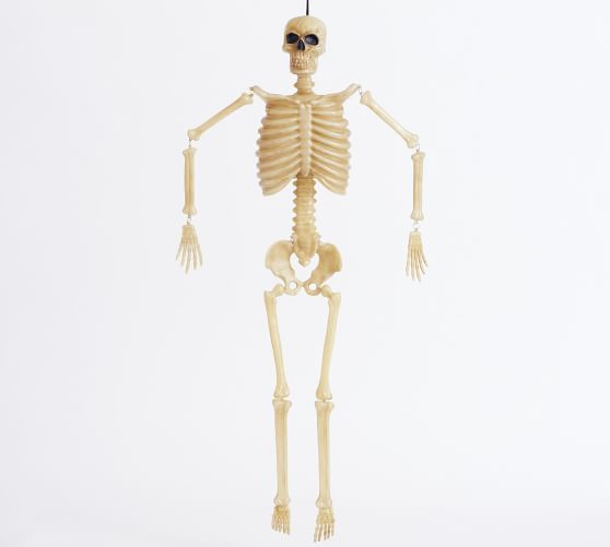 Lit Mr. Bones | Pottery Barn (US)
