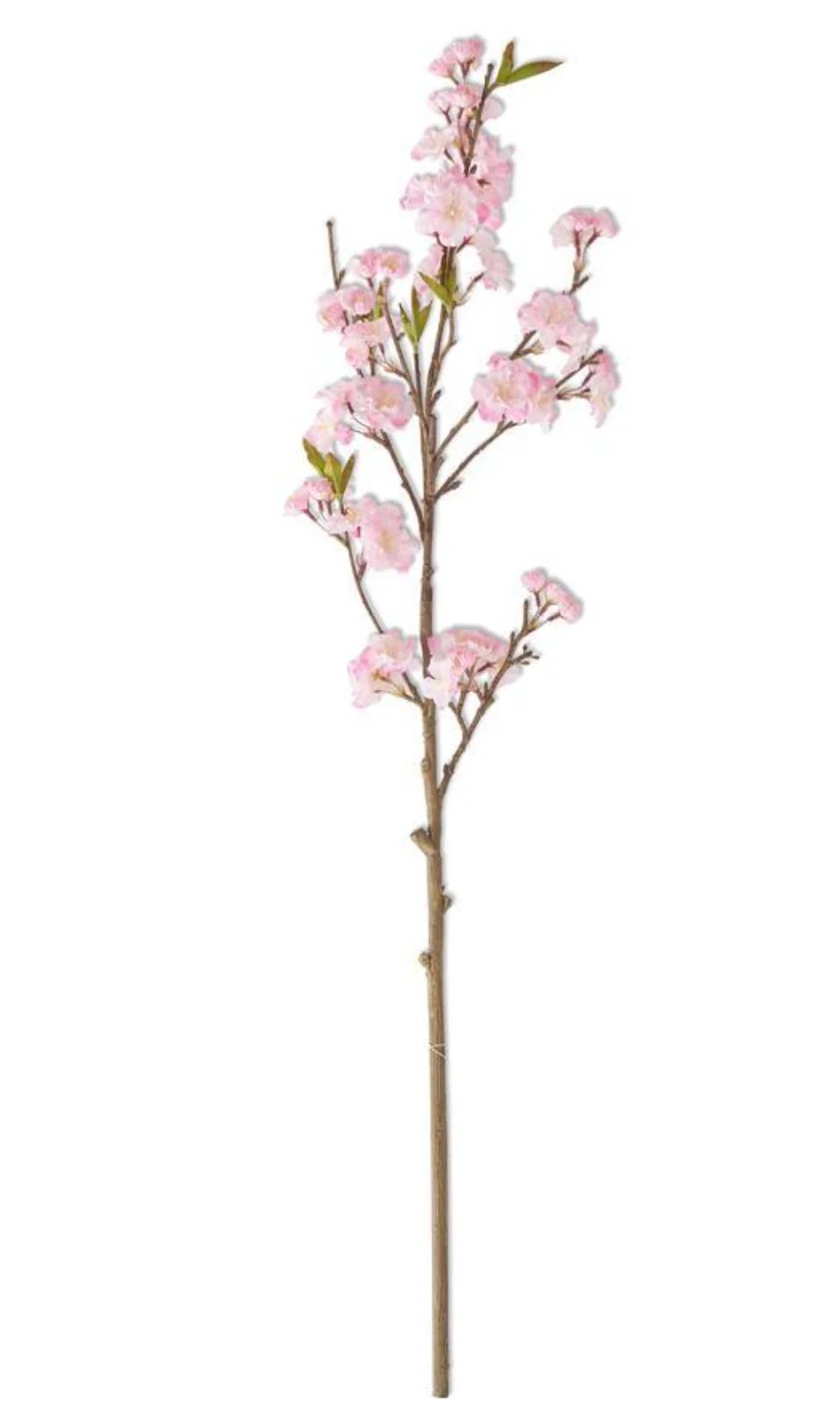 Pink Cherry Blossom Branch | House of Blum