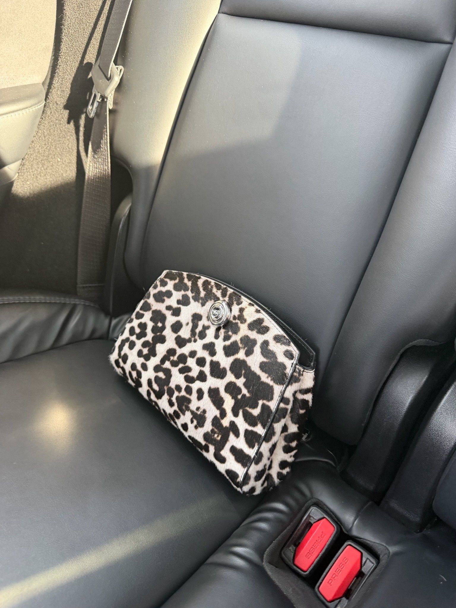 Animal print edit