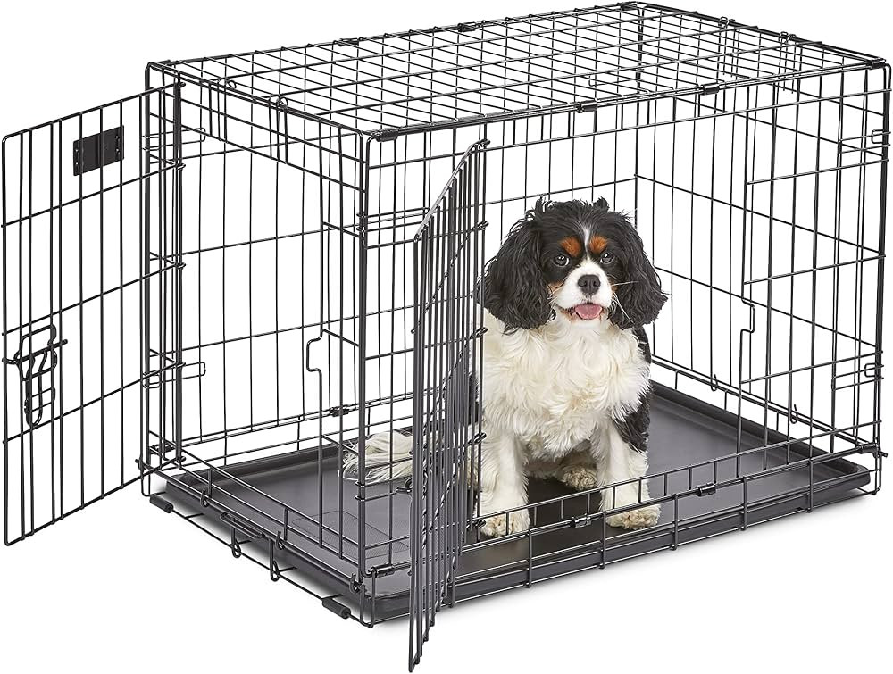 MidWest Homes for Pets Newly Enhanced Double Door iCrate Dog Crate, Includes Leak-Proof Pan, Floo... | Amazon (US)