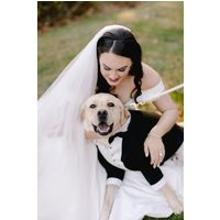 Custom Wedding Dog Tuxedo Formal Black Suit With Bowtie | Etsy (US)