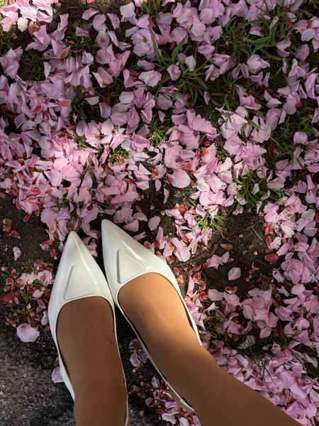A moment for the shoes and the petals 🤍🌸

White heels - trendy fashion - summer inspo - designer look - white pump - Revolve - chic fashion - 

#LTKStyleTip #LTKShoeCrush #LTKBeauty